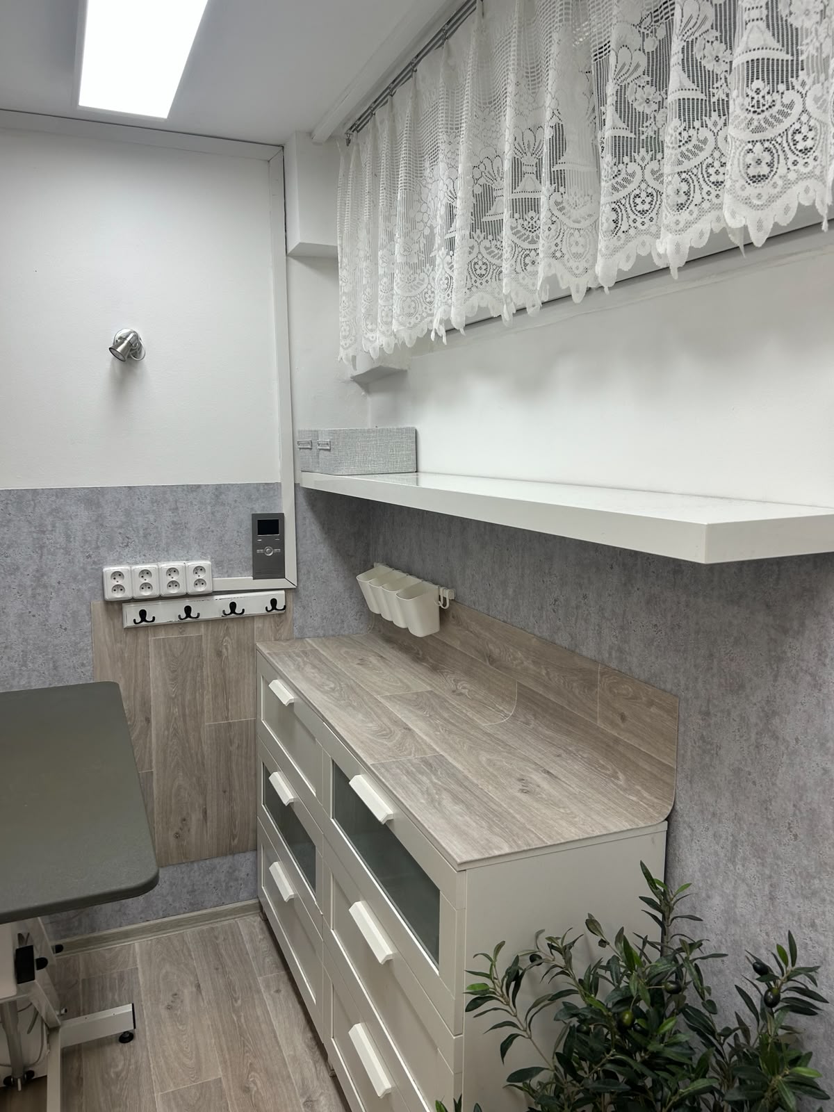 Psí salon LUCI - 7